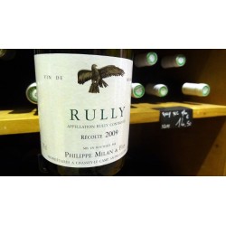 RULLY  P. MILAN BLANC 2010