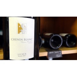 SAUMUR CHENIN BLANC FREDERIC  MABILEAU BLANC 2008