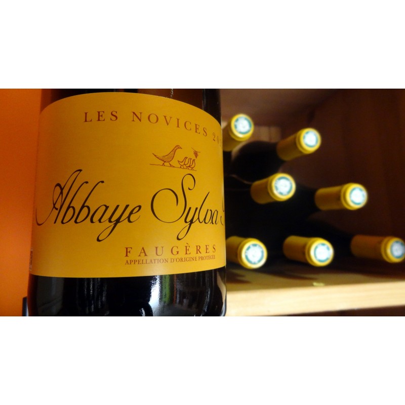 FAUGERES "BIO" LES NOVICES ABBAYE DE SYLVA PLANA ROUGE 2014 FAUGERES "BIO" LES NOVICES ABBAYE DE SYLVA PLANA ROUGE 2014