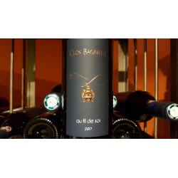 SAINT CHINIAN CLOS BAGATELLE AU FIL DE SOI ROUGE